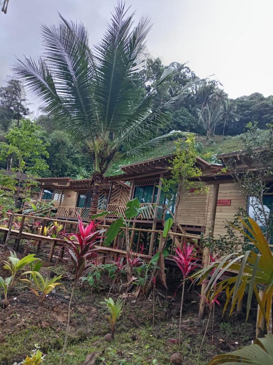 Pacific Nuqui Lodge Buitenkant foto